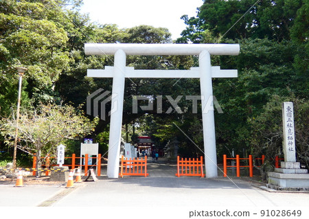 Torii Torii 91028649