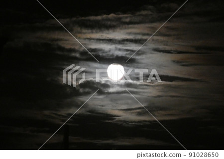 Moon Moon 91028650