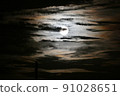 Moonlit night 91028651