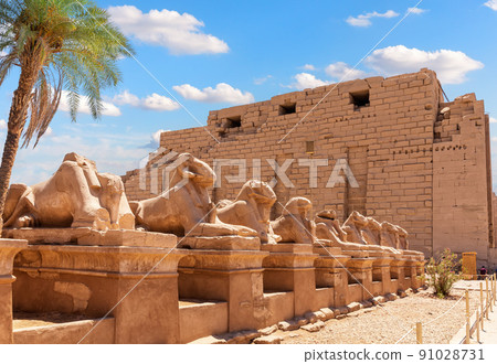 The King s Festivities Road or Avenue of Sphinxes, ram-headed statues of Karnak Temple, Luxor, Egypt 91028731