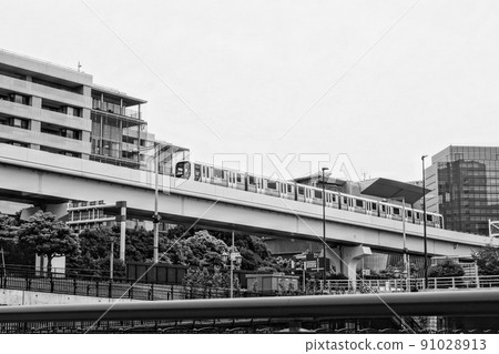 百合海鷗 百合海鷗 91028913