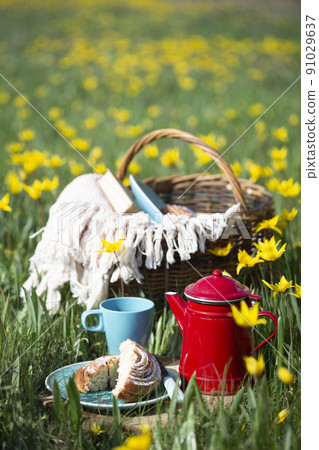 spring picnic in the meadow 91029637