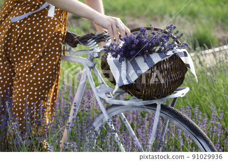 bicycle basket with a bouquet of lilacs bicycle basket with a bouquet of lilacs 91029936