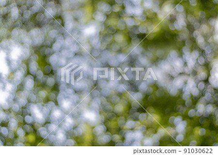 Green leaf bokeh from the sun shining through the outdoor forest. Bokeh background Green leaf bokeh from the sun shining through the outdoor forest. Bokeh background 91030622