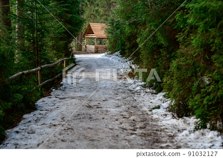 Forest trail with fence, hiking in the woods, Ukrainian Carpathians and hiking trails. 91032127