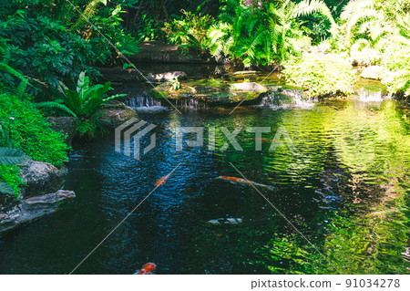Panoramic exotic  beautiful tropical deep rainforest waterfall   Fresh waterfalls in deep forest 91034278