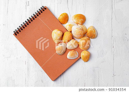 Summer vacation concept with sea shells on white planks close up 91034354