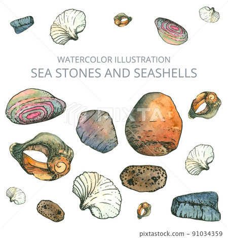 Sea stones and seashells on a white background. Vector illustration Sea stones and seashells on a white background. Vector illustration 91034359