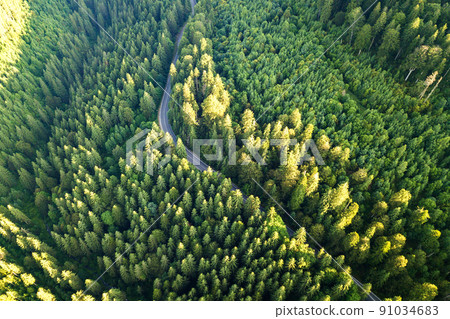Aerial view of winding road in high mountain pass trough dense green pine woods. Aerial view of winding road in high mountain pass trough dense green pine woods. 91034683
