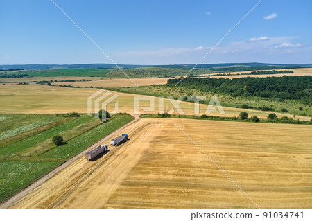 Aerial view of cargo trucks on dirt road between agricultural wheat fields. Transportation of grain after being harvested by combine harvester during harvesting season Aerial view of cargo trucks on dirt road between agricultural wheat fields. Transportation of grain after being harvested by combine harvester during harvesting season 91034741