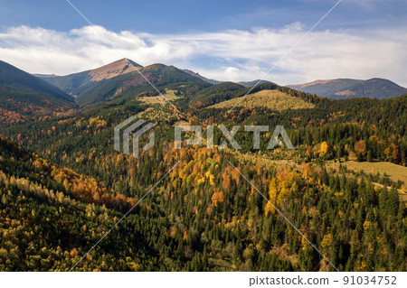 Aerial view of autumn mountain landscape with evergreen pine trees and yellow fall forest with magestic mountains in distance. 91034752