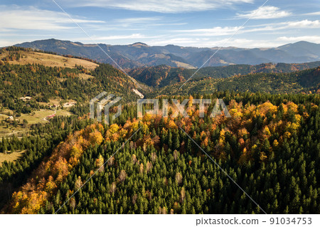 Aerial view of autumn mountain landscape with evergreen pine trees and yellow fall forest with magestic mountains in distance. Aerial view of autumn mountain landscape with evergreen pine trees and yellow fall forest with magestic mountains in distance. 91034753