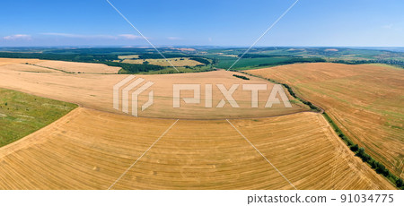 Aerial landscape view of yellow cultivated agricultural field with dry straw of cut down wheat after harvesting 91034775