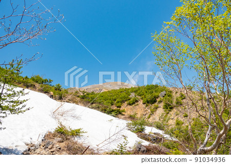 Issaikyo Remaining Snow Spring Issaikyo Remaining Snow Spring 91034936