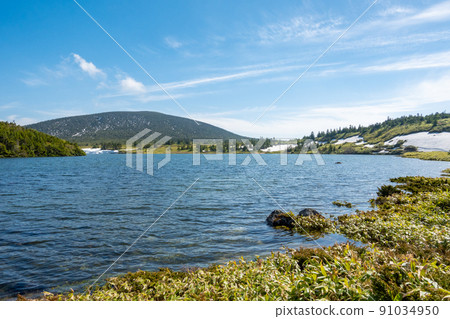 Kamanuma Sugadaira Marsh 91034950