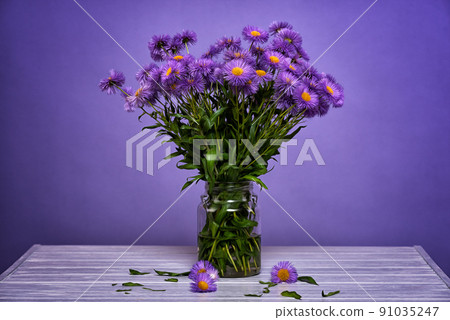 Purple flowers in jar.Wildflowers. Still life Purple flowers in jar.Wildflowers. Still life 91035247