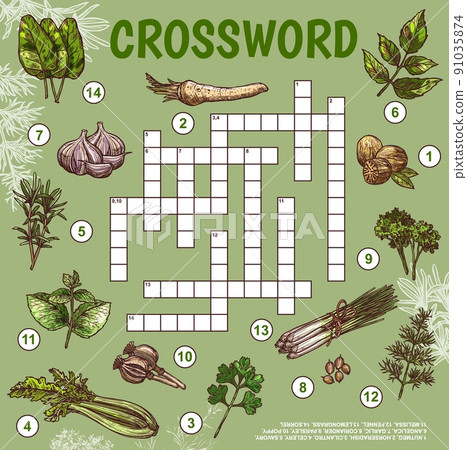 Herbs, seasonings and spices. Crossword grid worksheet. Find a word quiz game, sketch vector text riddle with nutmeg, horseradish and cilantro, celery, savory and angelica, garlic, coriander, parsley Herbs, seasonings and spices. Crossword grid worksheet. Find a word quiz game, sketch vector text riddle with nutmeg, horseradish and cilantro, celery, savory and angelica, garlic, coriander, parsley 91035874