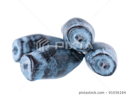 Honeysuckle isolated on white background. Ripe berries of honeysuckle. Clipping path. 91036164