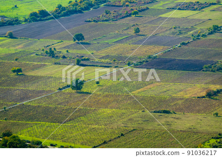 Scenic agricultural fields on sunny day 91036217