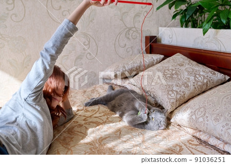 Preteen girl playing with a pet gray british cat lie together at home in bed 91036251