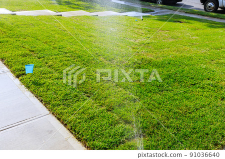 Spraying water on the lawn in very hot weather. 91036640