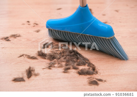 Hair after cutting on the floor. Cleaning hair Hair after cutting on the floor. Cleaning hair 91036681