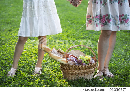 happy family at a picnic 91036771