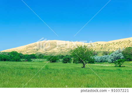 natural landscape with a huge sand dune Sarykum in the background natural landscape with a huge sand dune Sarykum in the background 91037221