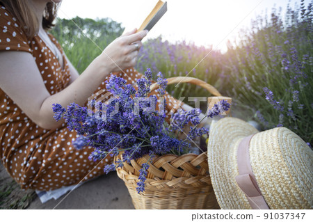 Provence - girl at the lavender field 91037347