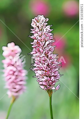 Pastel-like "Ibukitranoo in full bloom" illustration image 91038051