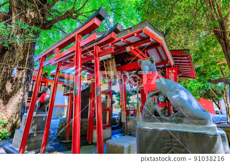 花園神社，東京新宿區歌舞伎町的城市景觀 91038216