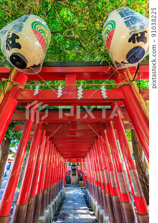 Hanazono Shrine, a cityscape of Kabukicho, Shinjuku-ku, Tokyo 91038225