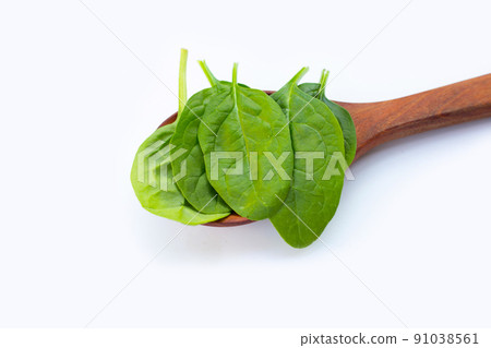 Spinach leaves. Extremely nutrient-rich vegetable 91038561