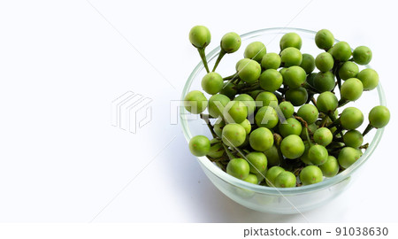 Turkey berry isolated on white background 91038630