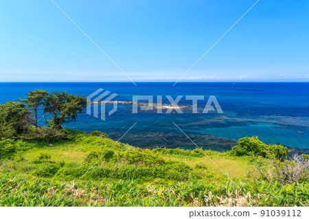 View from Cape Arutori in midsummer, Date City, Hokkaido [July] 91039112