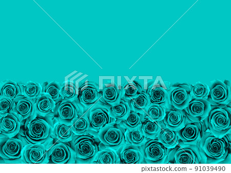 蒂芙尼藍玫瑰,半色調背景 蒂芙尼藍玫瑰,半色調背景 91039490