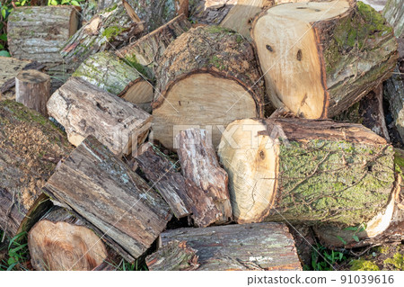 露營地燃木火爐燃木生物質 露營地燃木火爐燃木生物質 91039616