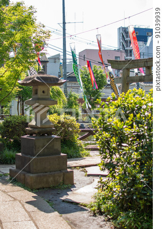 須藤公園/文京區的鯉魚旗 91039939