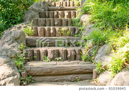 東京須藤公園/文京區的樓梯 東京須藤公園/文京區的樓梯 91039945