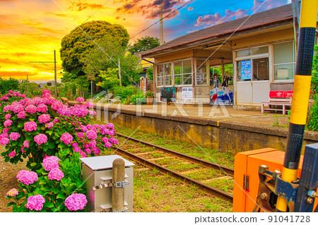 Hydrangea and Ashikajima Station 91041728