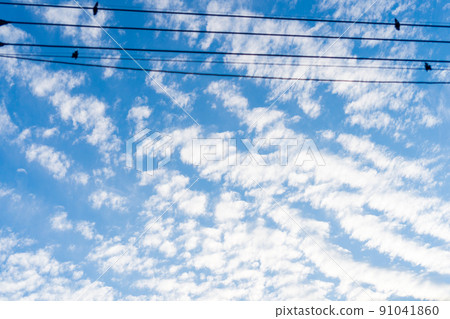 blue sky, sky, cloud 91041860