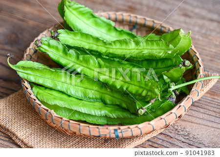 Winged Bean on basket and sack background, Psophocarpus tetragonolobus - Green winged or Four angle beans Winged Bean on basket and sack background, Psophocarpus tetragonolobus - Green winged or Four angle beans 91041983
