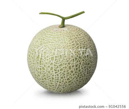 melon melon 91042556