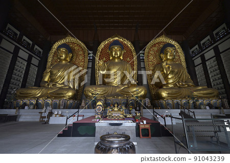 Chorakuji Temple [Chorakuji Daibutsu] Inside the Great Buddha Hall (Kami Town, Mikata District, Hyogo Prefecture) 91043239