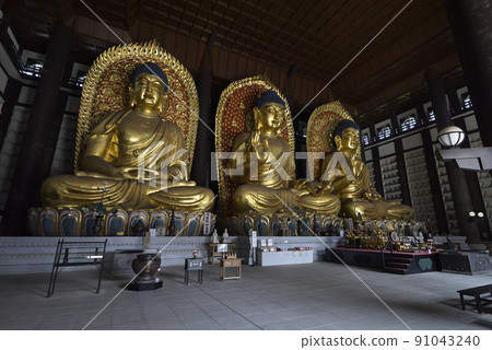 Chorakuji Temple [Chorakuji Daibutsu] Inside the Great Buddha Hall (Kami Town, Mikata District, Hyogo Prefecture) 91043240