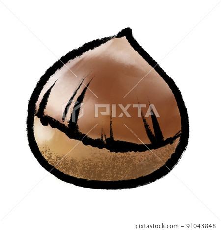 Chestnut fruit brush painting style watercolor illustration Chestnut fruit brush painting style watercolor illustration 91043848