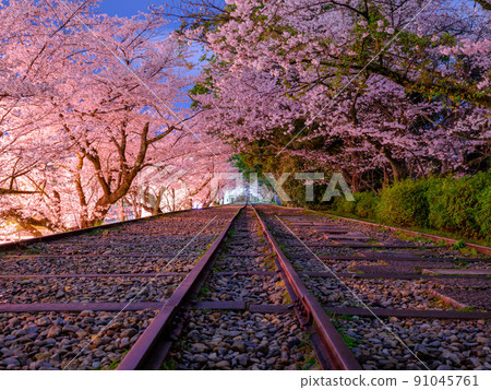Kyoto_Keage Incline and cherry blossom image in full bloom Kyoto_Keage Incline and cherry blossom image in full bloom 91045761