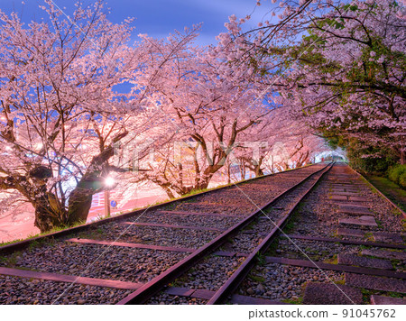 Kyoto_Keage Incline and cherry blossom image in full bloom Kyoto_Keage Incline and cherry blossom image in full bloom 91045762