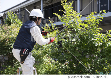 美化工人在梯子上修剪花園樹木 91045910