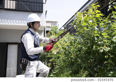 美化工人在梯子上修剪花園樹木 美化工人在梯子上修剪花園樹木 91045970